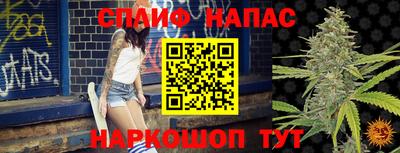 амф Гусь-Хрустальный