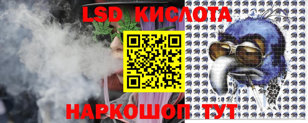 Бошки Шишки Нижний Тагил