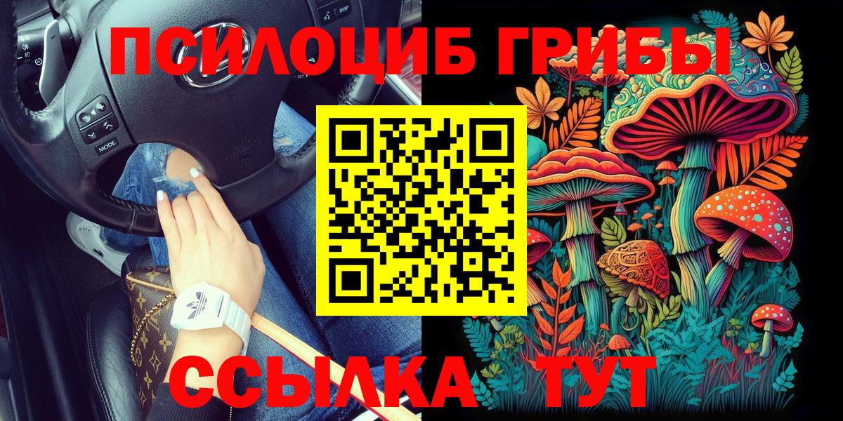 Нижний Тагил  Псилоцибиновые грибы Cubensis  Вход с VPN  купить  сайты  Галлюциногенные грибы MAGIC MUSHROOMS 